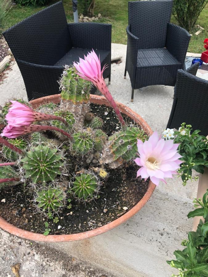 Il Girasole Διαμέρισμα Castel Ritaldi Εξωτερικό φωτογραφία
