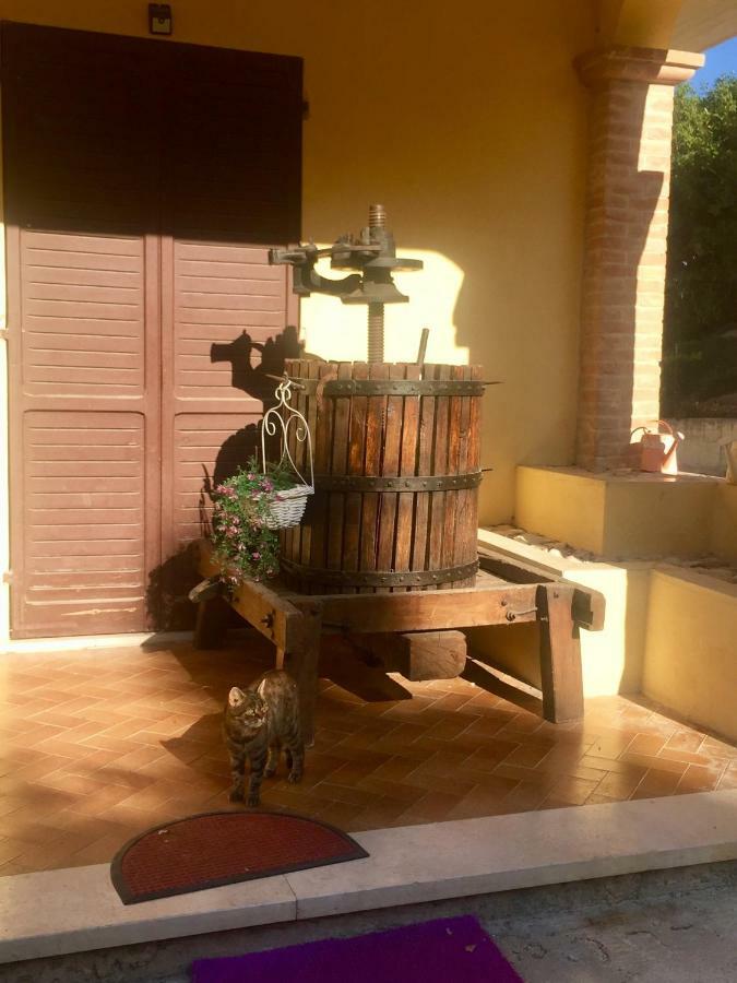 Il Girasole Διαμέρισμα Castel Ritaldi Εξωτερικό φωτογραφία
